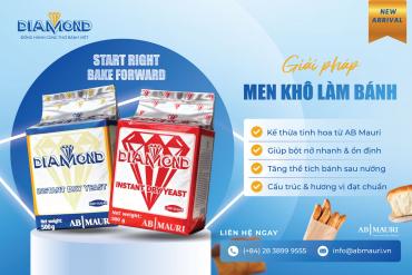 TÂN BINH MEN DIAMOND – GIẢI PHÁP MEN ỔN ĐỊNH CHO THỢ BÁNH VIỆT